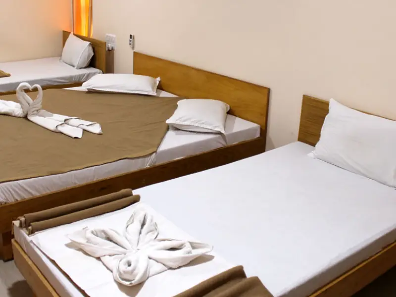 Gir Jungle Lodge Room